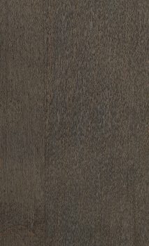 Maple Ash