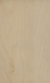 Maple Shale