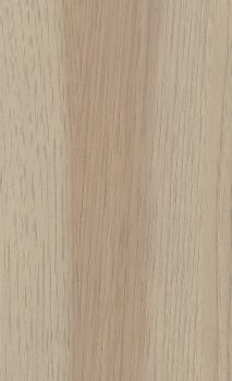 Oak Shale