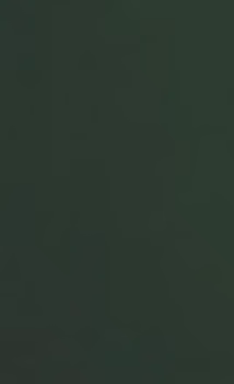 Wellborn_Painted_Finish_Celtic