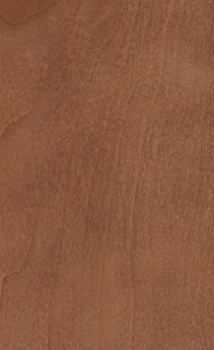 Wellborn_Stained_Finish_Caramel